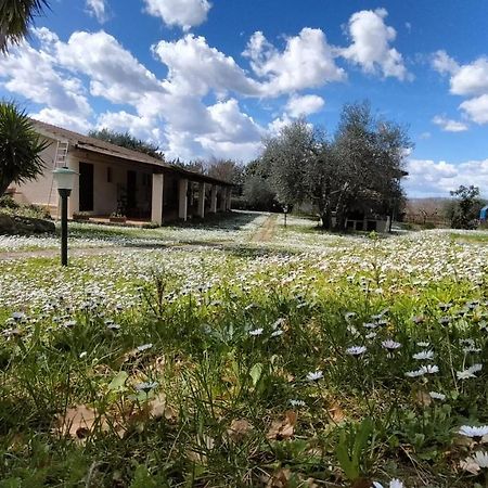 Agriturismo Bio Pian Dei Casali Saturnia Εξωτερικό φωτογραφία