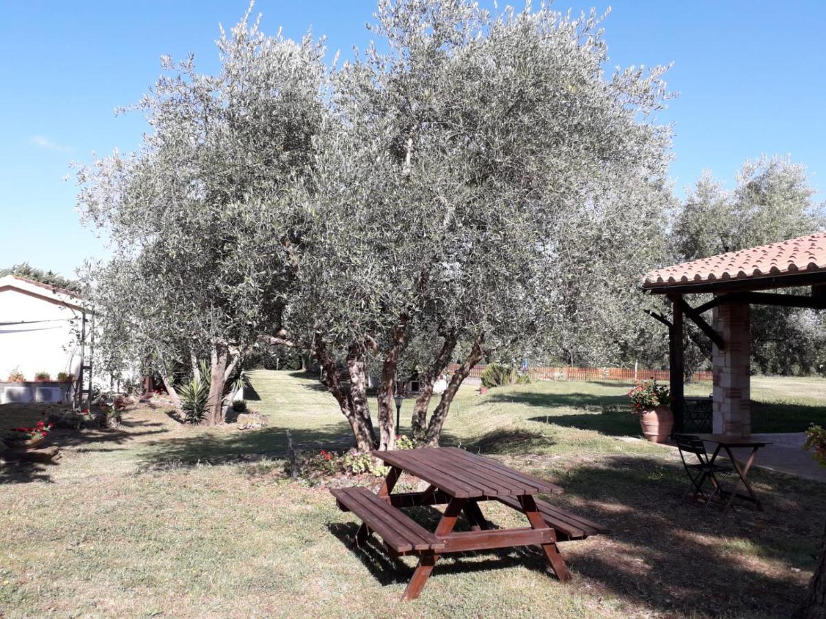 Agriturismo Bio Pian Dei Casali Saturnia Εξωτερικό φωτογραφία