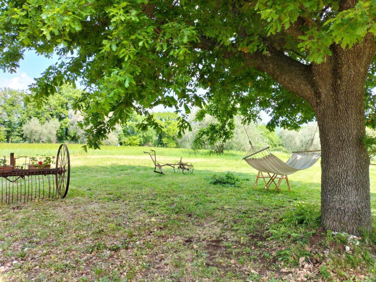 Agriturismo Bio Pian Dei Casali Saturnia Εξωτερικό φωτογραφία