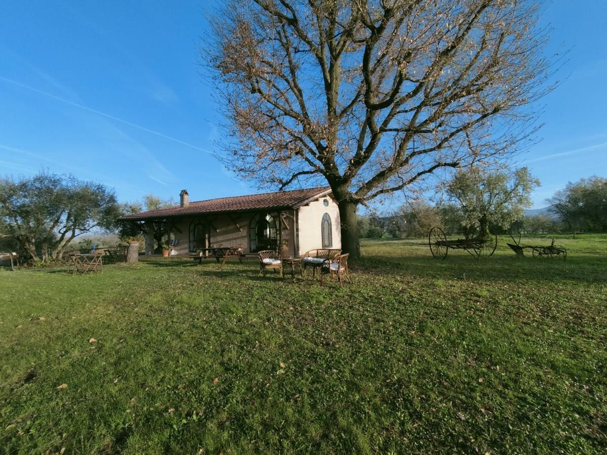Agriturismo Bio Pian Dei Casali Saturnia Εξωτερικό φωτογραφία
