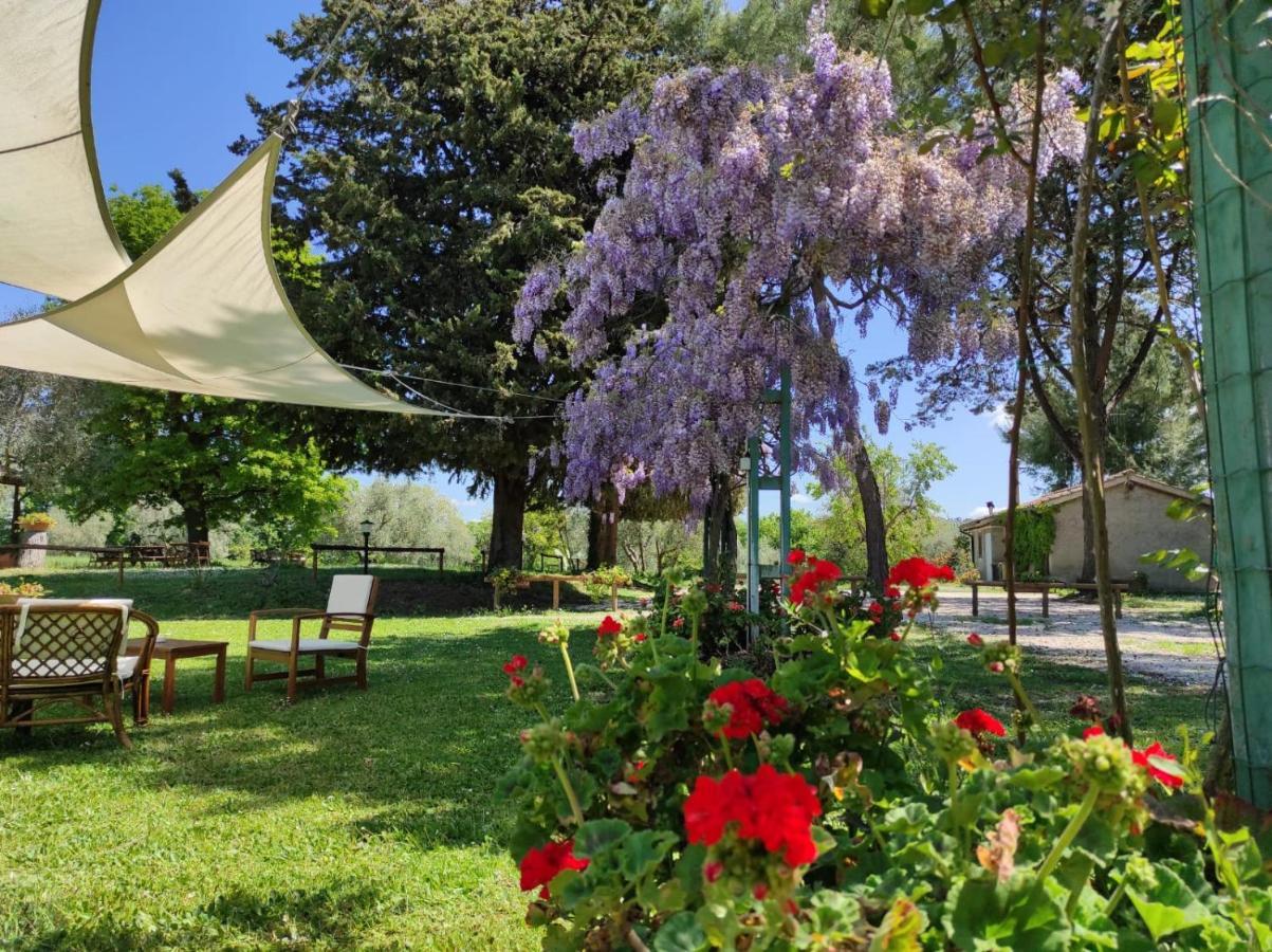 Agriturismo Bio Pian Dei Casali Saturnia Εξωτερικό φωτογραφία