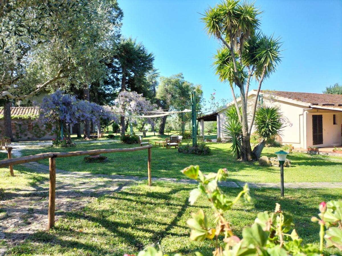 Agriturismo Bio Pian Dei Casali Saturnia Εξωτερικό φωτογραφία