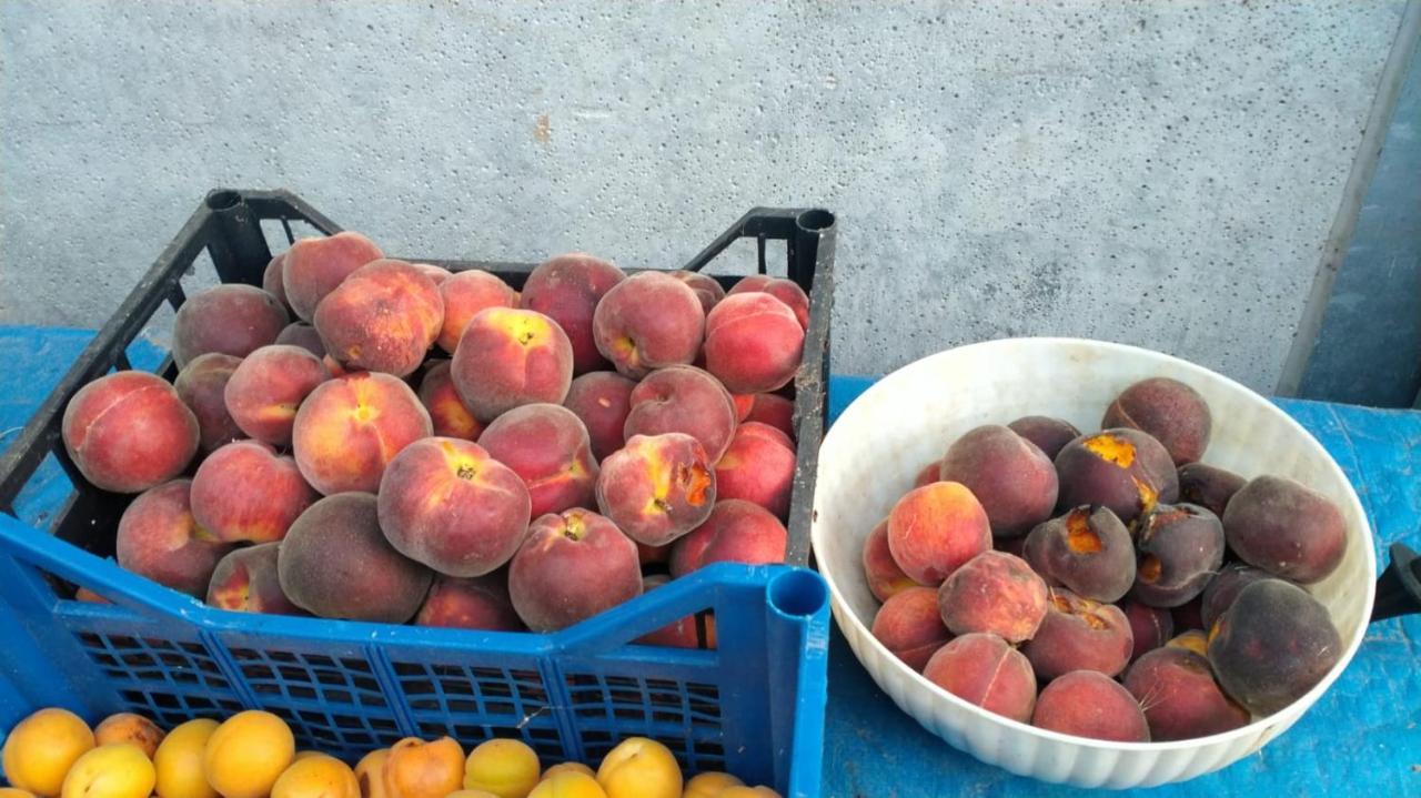 Agriturismo Bio Pian Dei Casali Saturnia Εξωτερικό φωτογραφία