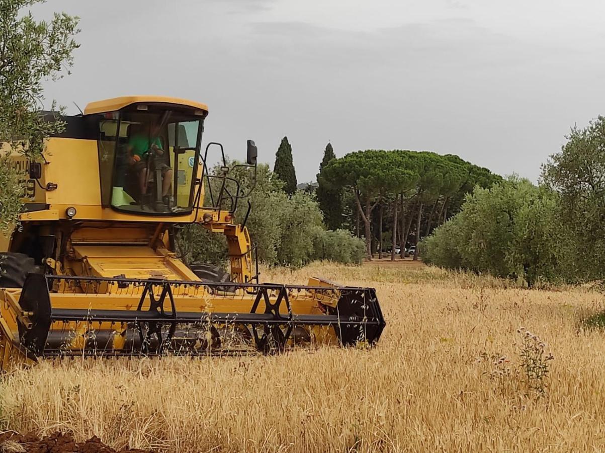 Agriturismo Bio Pian Dei Casali Saturnia Εξωτερικό φωτογραφία
