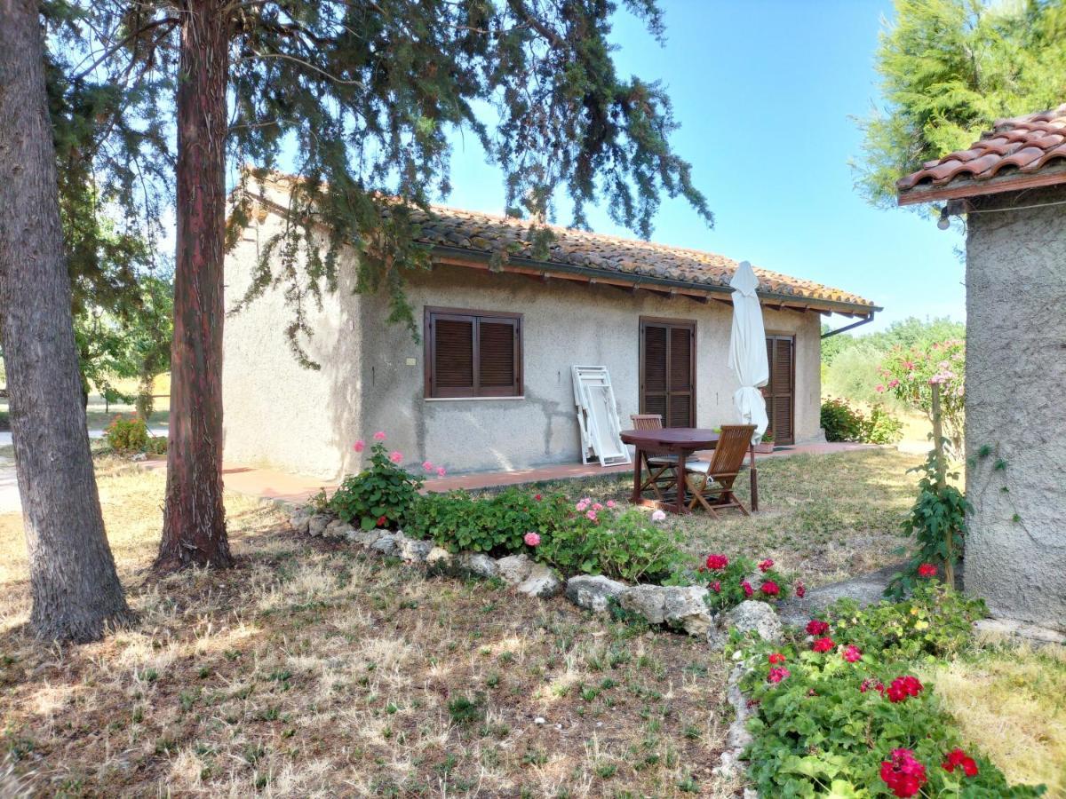Agriturismo Bio Pian Dei Casali Saturnia Εξωτερικό φωτογραφία