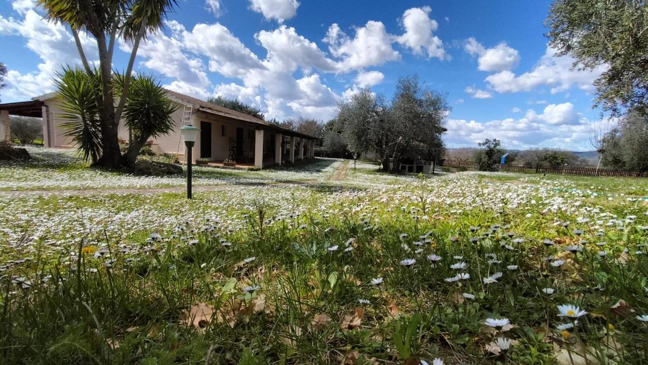 Agriturismo Bio Pian Dei Casali Saturnia Εξωτερικό φωτογραφία