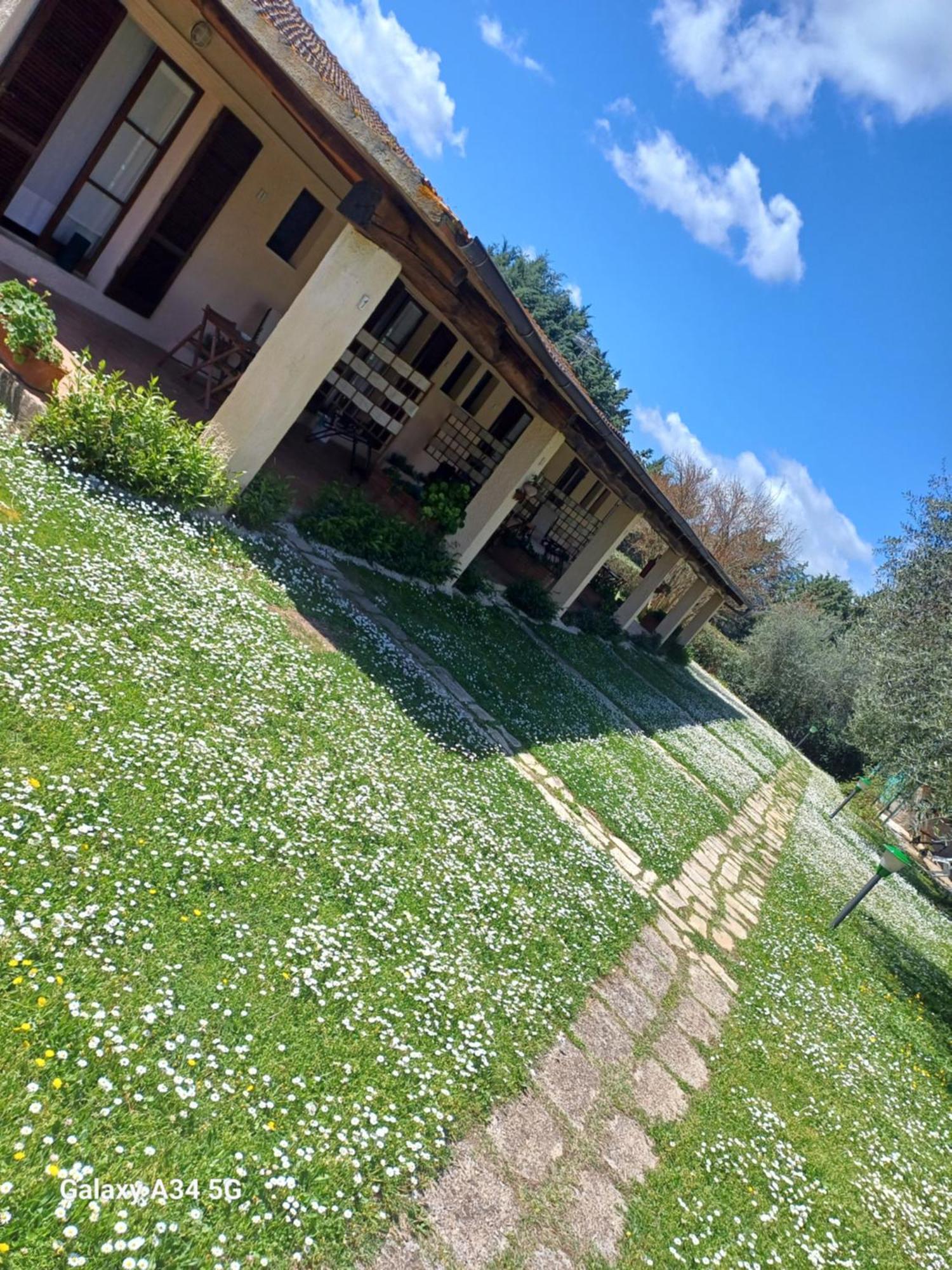 Agriturismo Bio Pian Dei Casali Saturnia Εξωτερικό φωτογραφία
