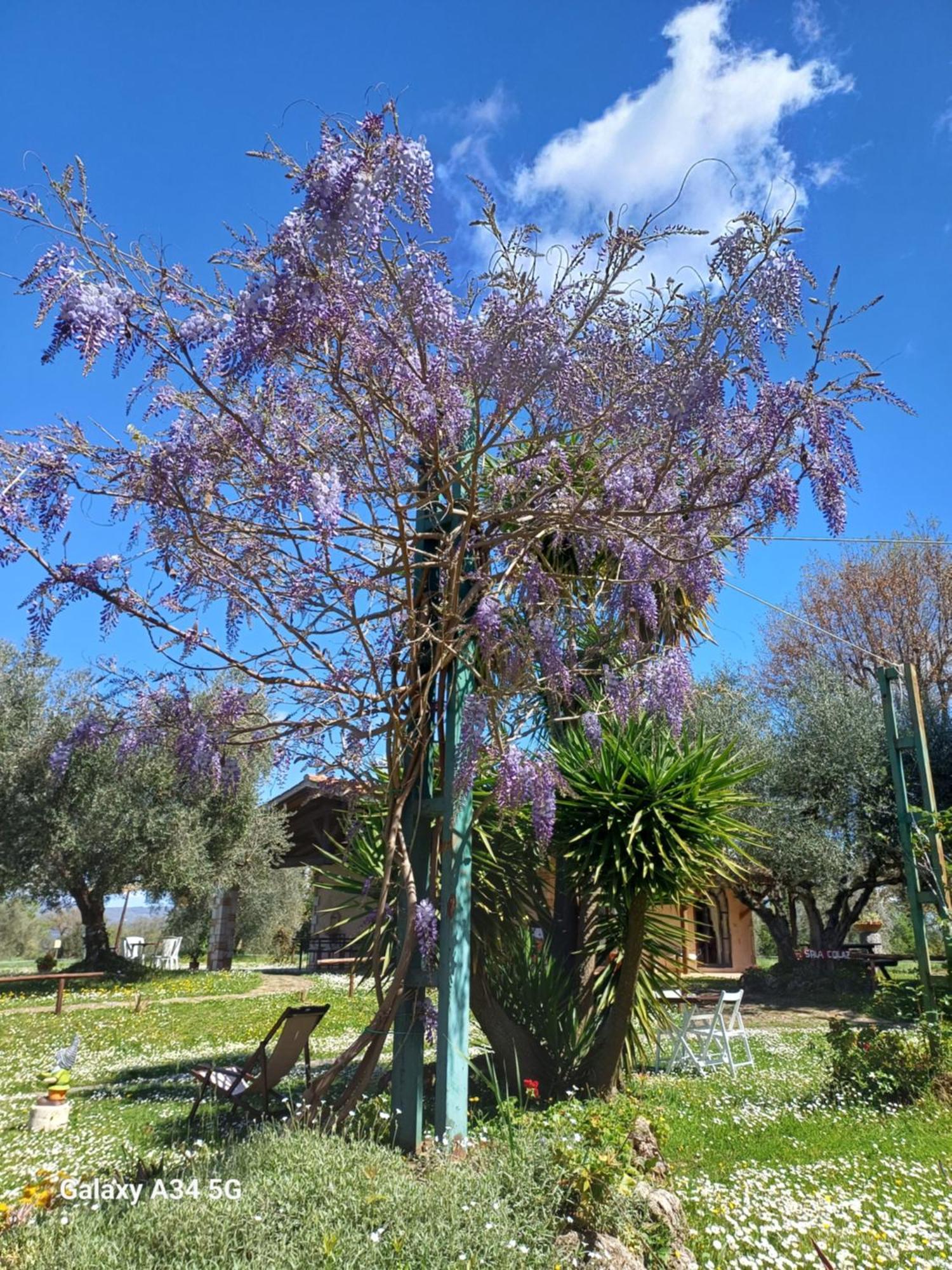 Agriturismo Bio Pian Dei Casali Saturnia Εξωτερικό φωτογραφία
