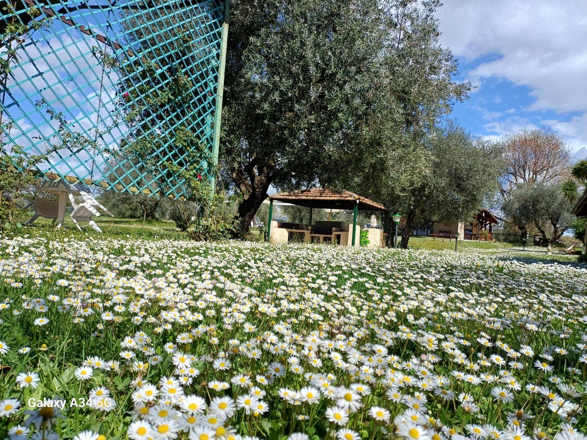 Agriturismo Bio Pian Dei Casali Saturnia Εξωτερικό φωτογραφία