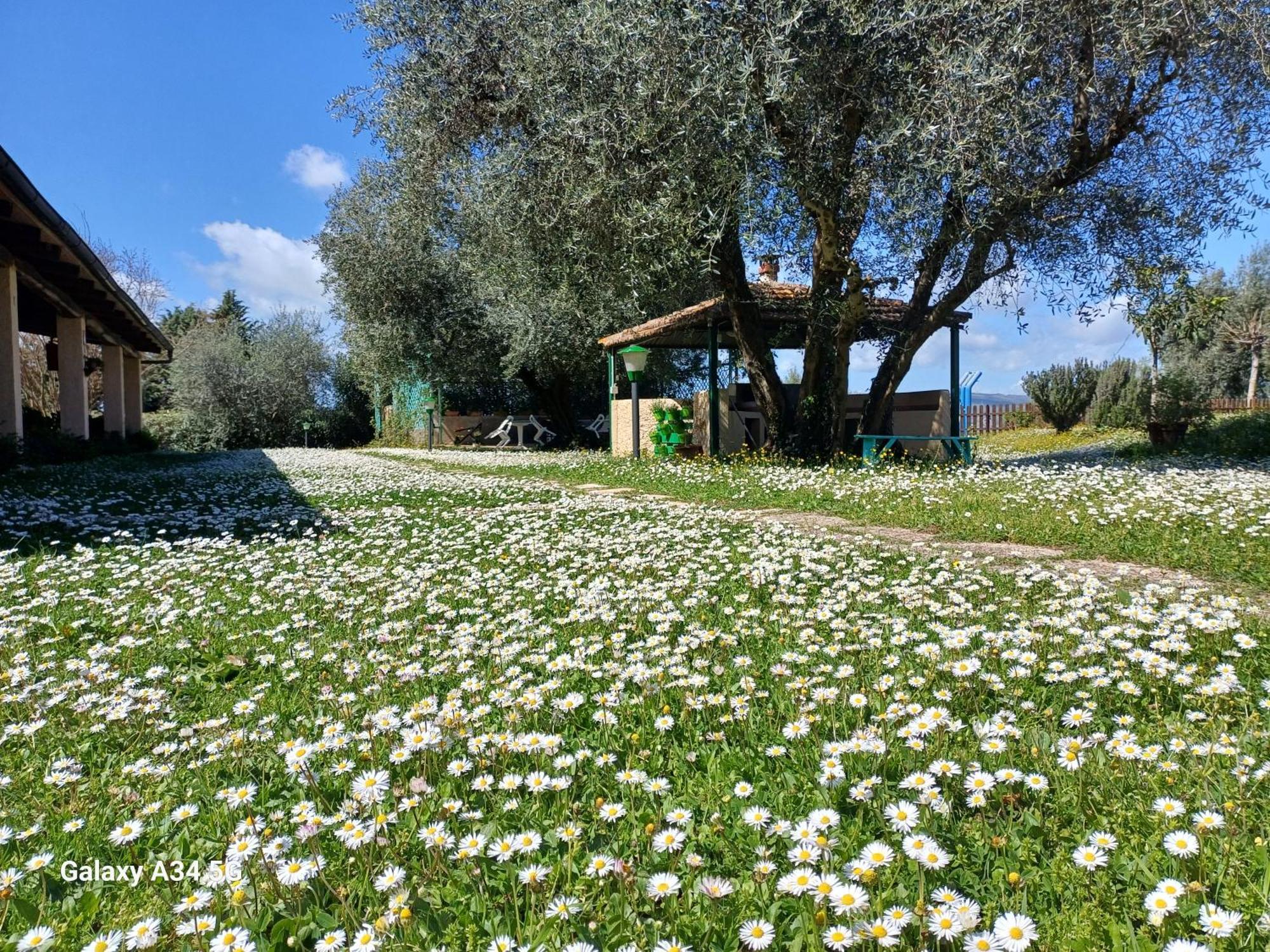 Agriturismo Bio Pian Dei Casali Saturnia Εξωτερικό φωτογραφία