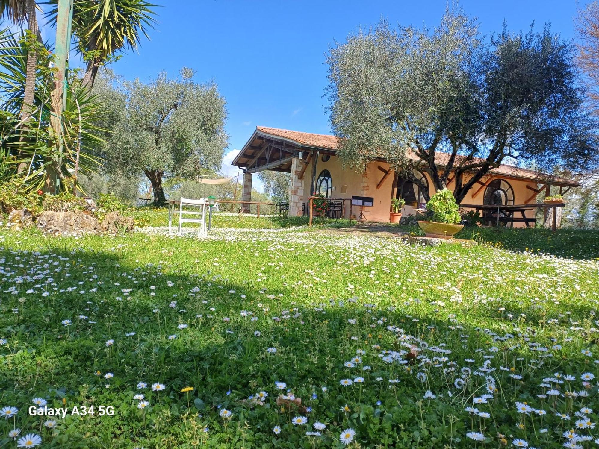 Agriturismo Bio Pian Dei Casali Saturnia Εξωτερικό φωτογραφία