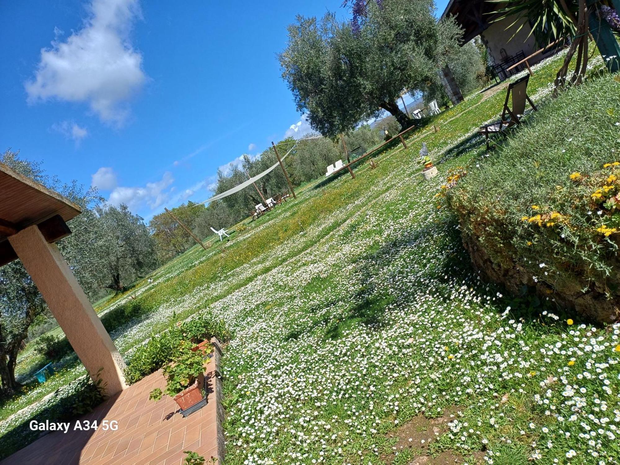 Agriturismo Bio Pian Dei Casali Saturnia Εξωτερικό φωτογραφία