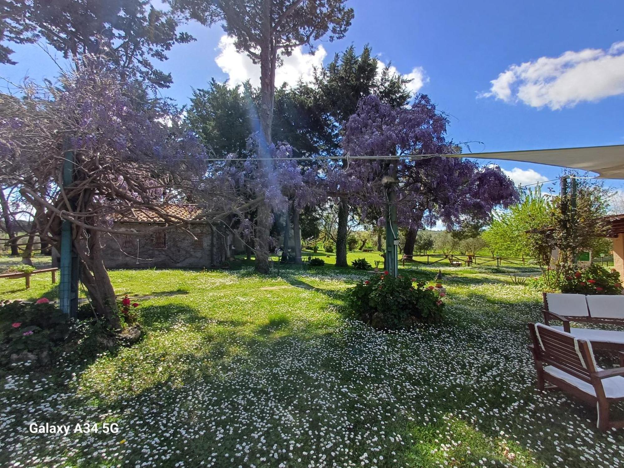 Agriturismo Bio Pian Dei Casali Saturnia Εξωτερικό φωτογραφία