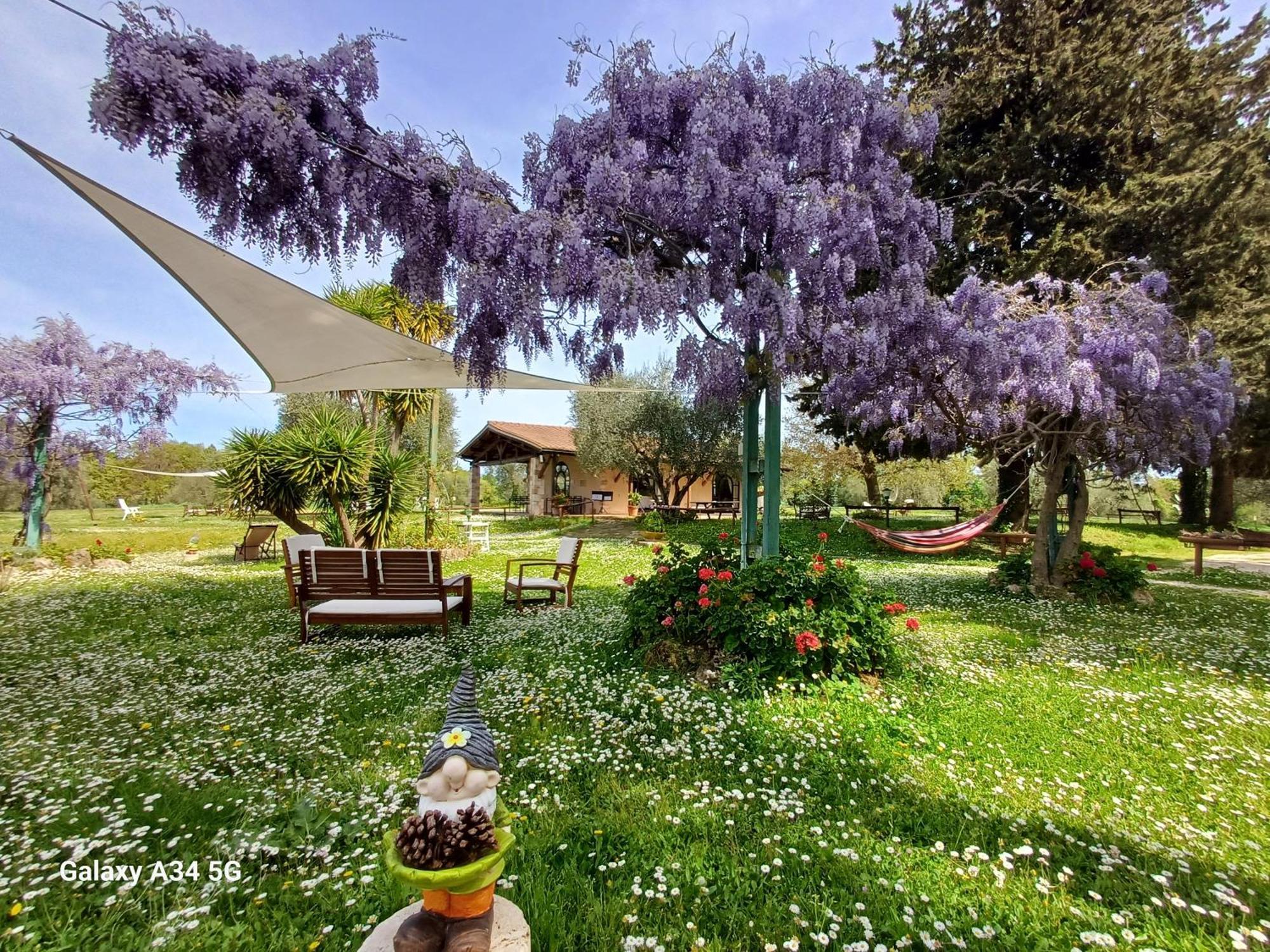Agriturismo Bio Pian Dei Casali Saturnia Εξωτερικό φωτογραφία